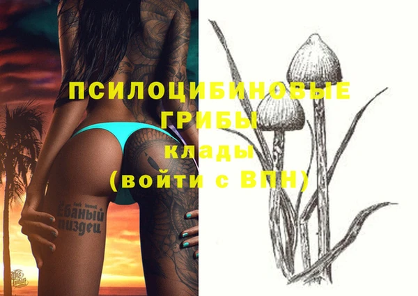 бутират Бородино