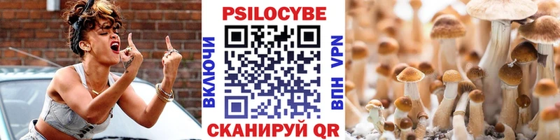 Купить закладки  Чадан  Псилоцибиновые грибы Psilocybe 